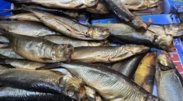 شعبة الأسماك: ارتفاع بنسبة 50% في الإقبال على الفسيخ والرنجة خلال شم النسيم